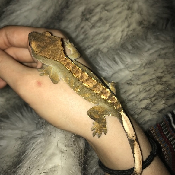 Meet your Posher, Ashley - Picture 8 of 8